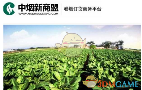 关税铁幕：美债为何成为特朗普命门